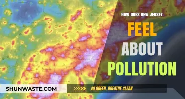 New Jersey's Stance on Pollution: A Local Perspective