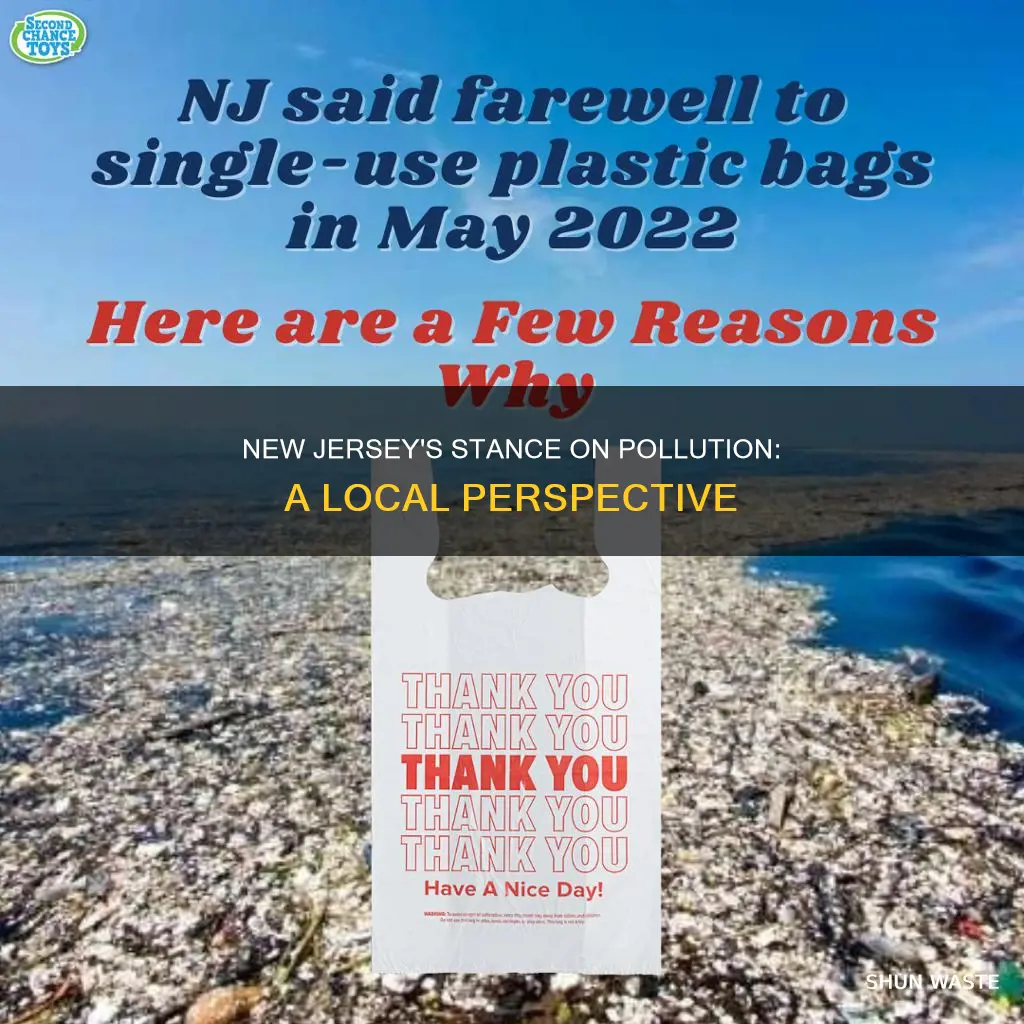 how does new jersey feel about pollution