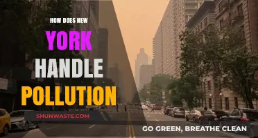 New York's Battle Against Pollution: Strategies and Challenges
