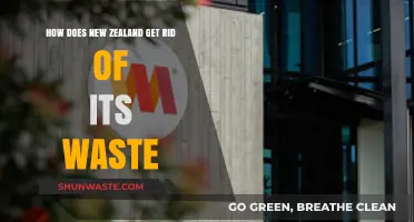 New Zealand's Innovative Waste Management: Strategies for a Greener Future