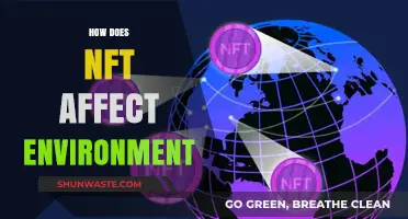 NFTs' Environmental Impact: Uncovering the Hidden Costs of Digital Art