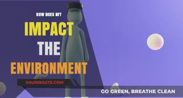 NFTs and the Environment: Unveiling the Ecological Footprint of Digital Art