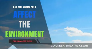 Niagara Falls' Environmental Impact: Ecosystem, Energy, and Conservation Challenges