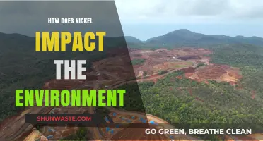 Nickel's Environmental Impact: Pollution, Ecosystems, and Sustainability Challenges