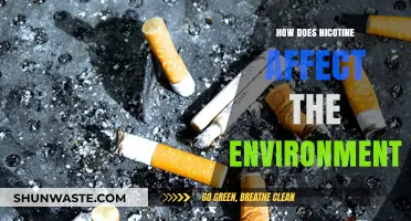 Nicotine's Environmental Impact: Pollution, Waste, and Ecosystem Disruption Explained
