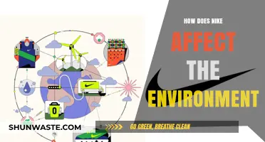 Nike's Environmental Impact: Sustainability Efforts and Challenges Explored