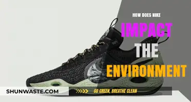 Nike's Environmental Footprint: Sustainability Efforts and Ecological Impact Explored