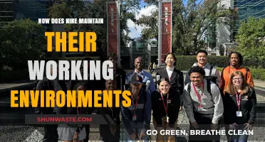 Nike's Workplace Culture: Strategies for Maintaining Positive Working Environments