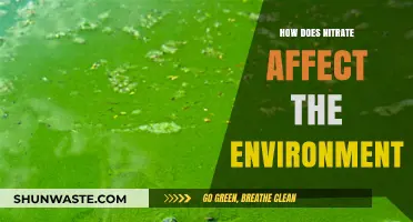Nitrate's Environmental Impact: Pollution, Ecosystems, and Water Quality Explained