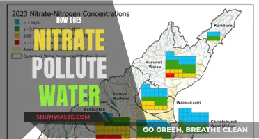 Nitrate's Toxic Touch: Unveiling Water Pollution's Hidden Dangers