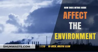 Nitric Oxide's Environmental Impact: Effects, Sources, and Mitigation Strategies
