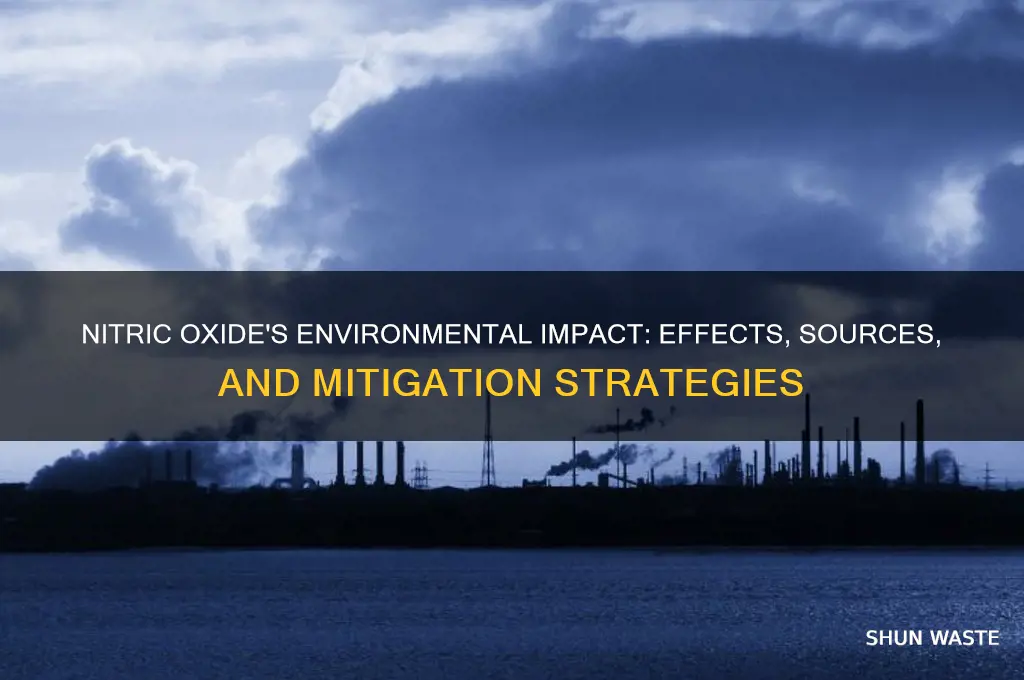 how does nitric oxide affect the environment