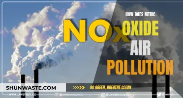 Nitric Oxide: Understanding Air Pollution's Silent Killer
