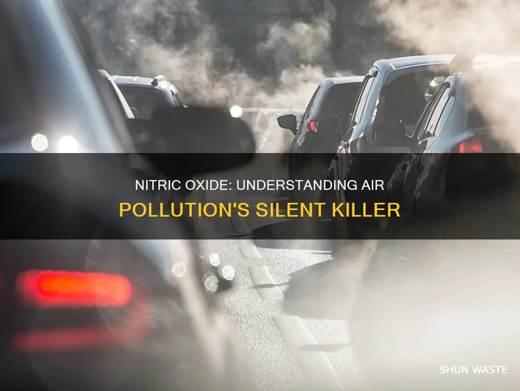 how does nitric oxide air pollution