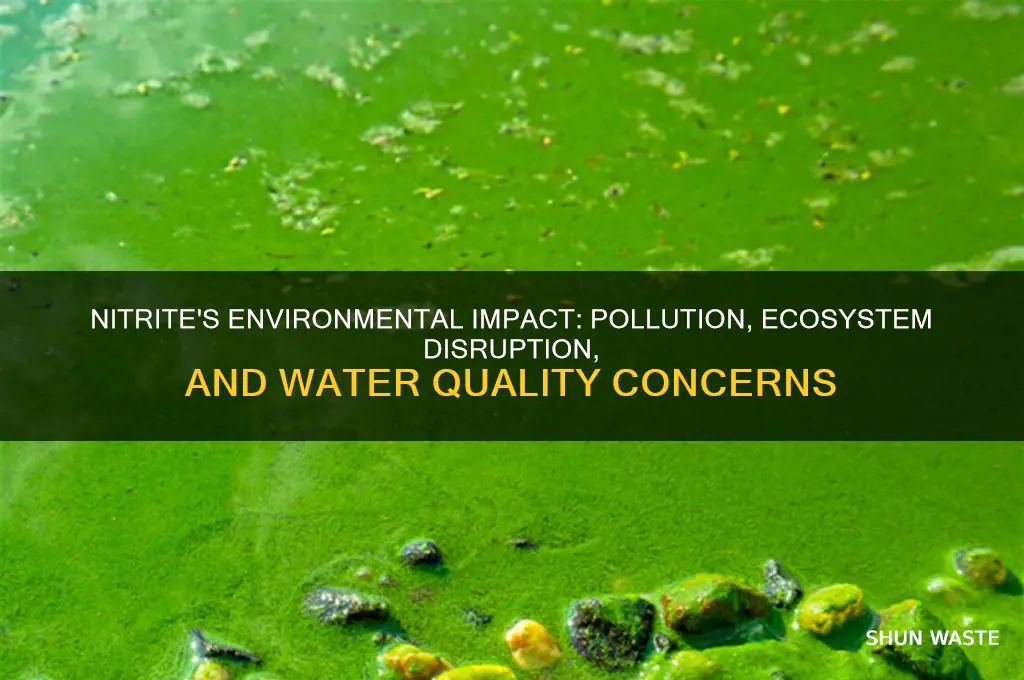 how does nitrite affect the environment