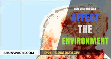 Nitrogen's Environmental Impact: Effects on Ecosystems, Climate, and Human Health