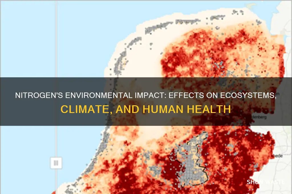 how does nitrogen affect the environment