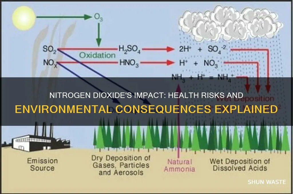 how does nitrogen dioxide affect human health and the environment