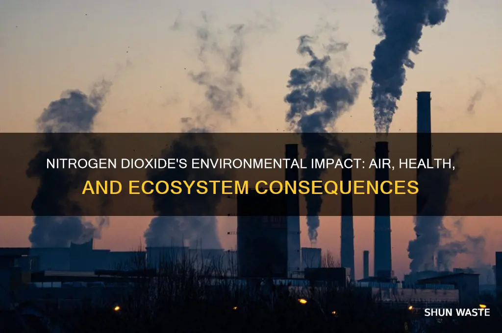 how does nitrogen dioxide affects the environment