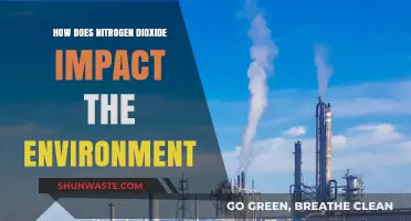 Nitrogen Dioxide's Environmental Impact: Air, Health, and Ecosystem Consequences
