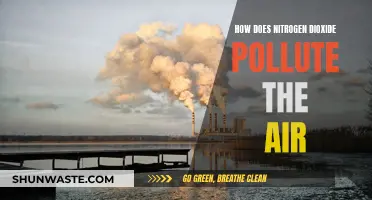 Nitrogen Dioxide's Harmful Impact on Air Quality