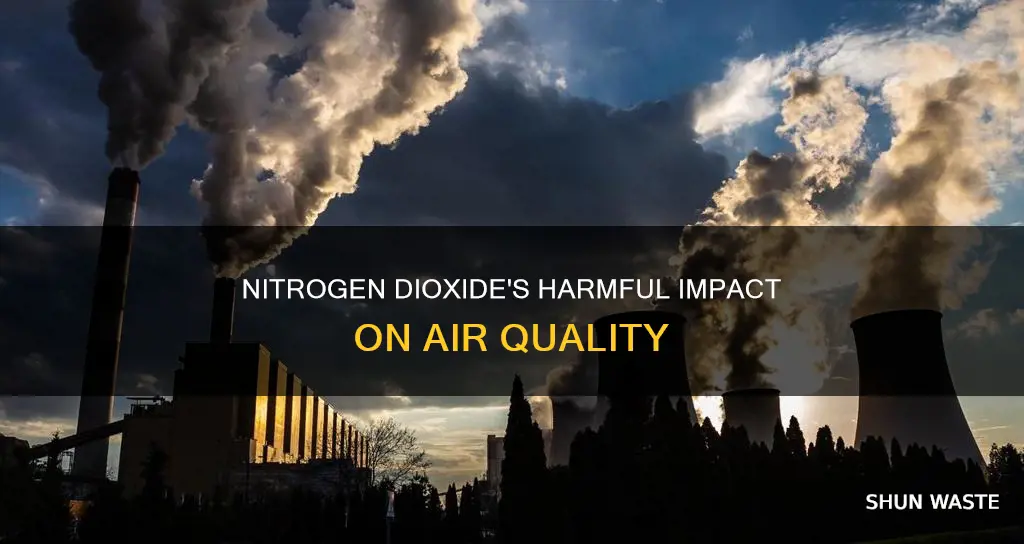 how does nitrogen dioxide pollute the air