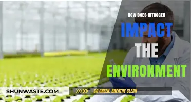 Nitrogen's Environmental Impact: Benefits, Risks, and Sustainable Management Strategies