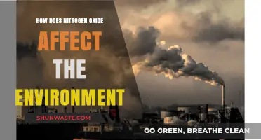 Nitrogen Oxide's Environmental Impact: Air, Water, and Ecosystem Consequences