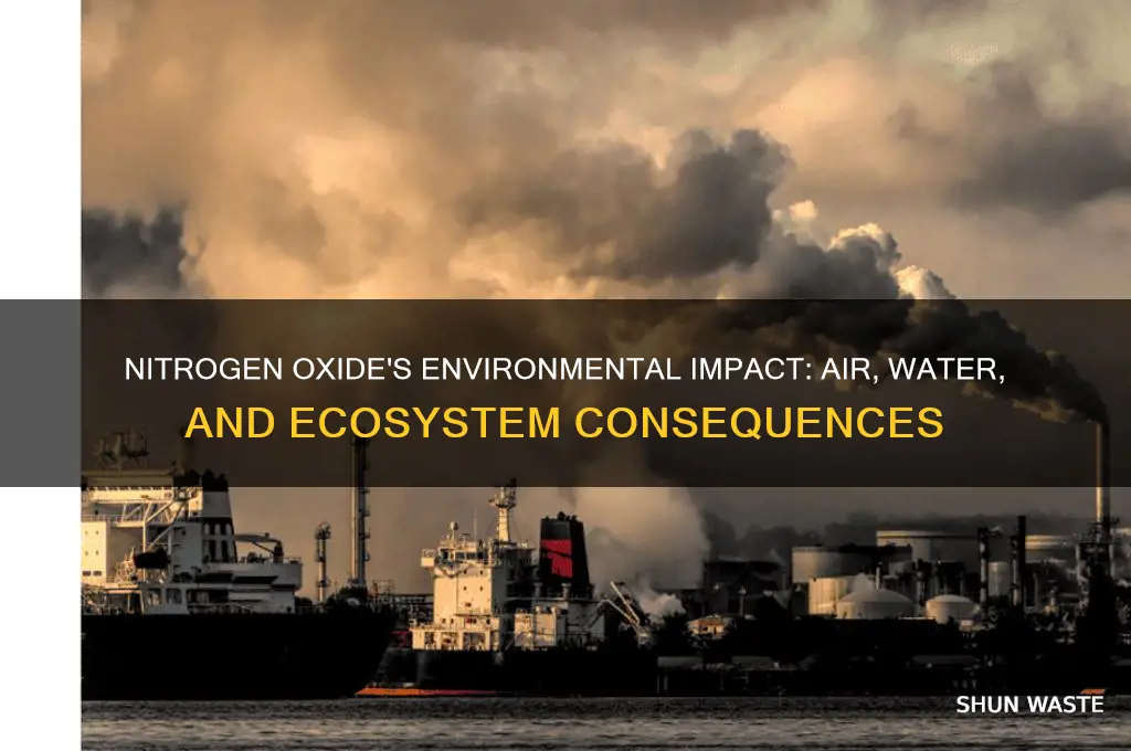 how does nitrogen oxide affect the environment