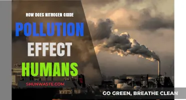 Nitrogen Oxide Pollution: Its Impact on Human Health