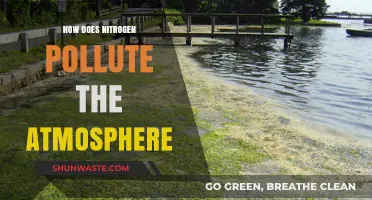 Nitrogen's Pollution Trail: The Atmospheric Impact
