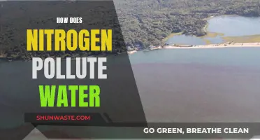 Nitrogen's Hidden Threat: Unveiling Water Pollution's Silent Killer