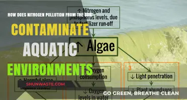 Nitrogen's Journey: Soil to Water Contamination