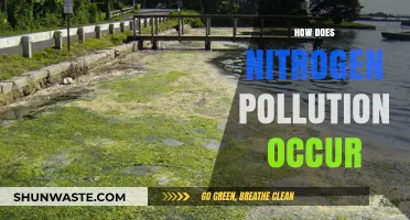 Nitrogen Pollution: Understanding Its Causes and Effects