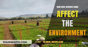 Nitrous Oxide's Environmental Impact: Causes, Effects, and Solutions Explained