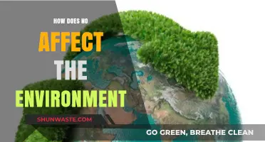 The Environmental Impact of 'No': Uncovering Its Surprising Effects