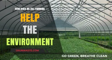 No-Till Farming: Sustainable Practices for a Healthier Planet