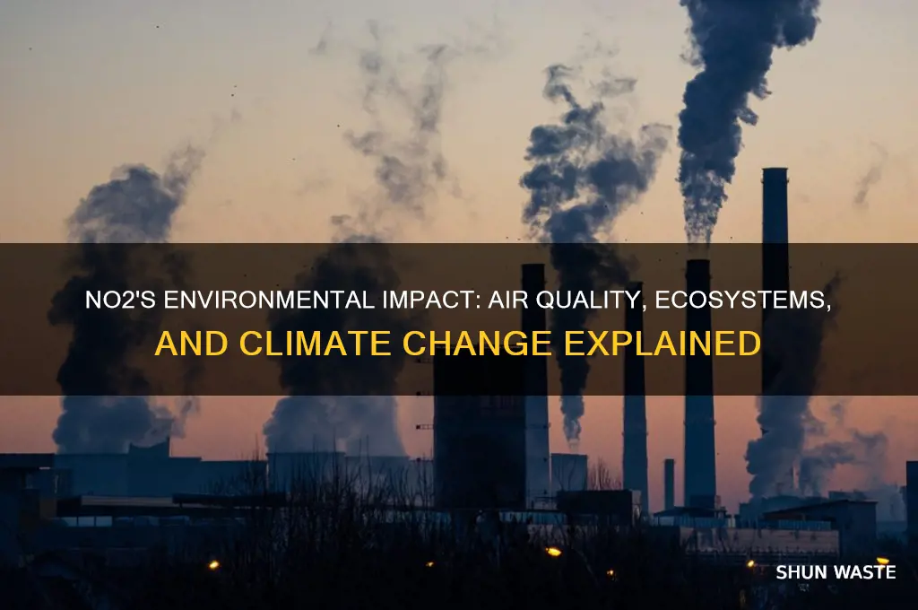 how does no2 affect the environment