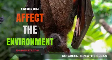 Noise Pollution's Impact: How Sound Disrupts Ecosystems and Wildlife