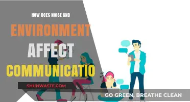 Noise and Environment: Impact on Effective Communication Strategies