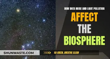 Noise and Light Pollution: Harming the Biosphere