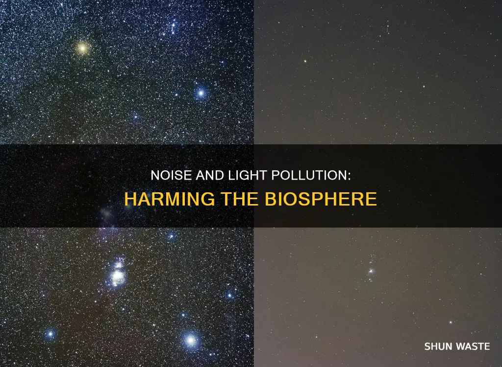 how does noise and light pollution affect the biosphere