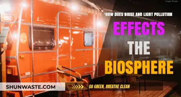 Light and Noise Pollution: Impacting the Biosphere