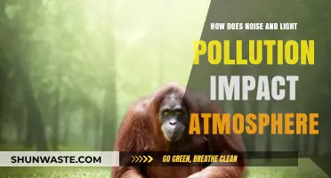 Light and Noise Pollution: Harming the Atmosphere
