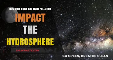 Noise and Light Pollution: Impacting Our Hydrosphere