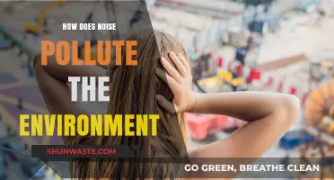 Noise Pollution: Harming Nature's Peace and Balance