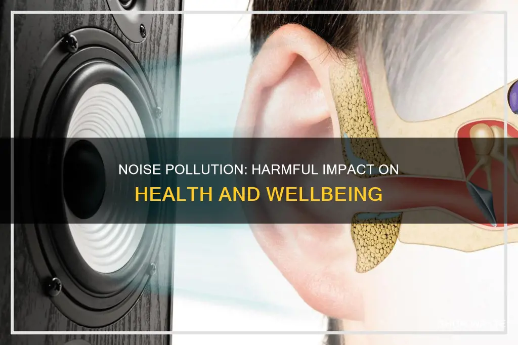 how does noise pollution affect a person