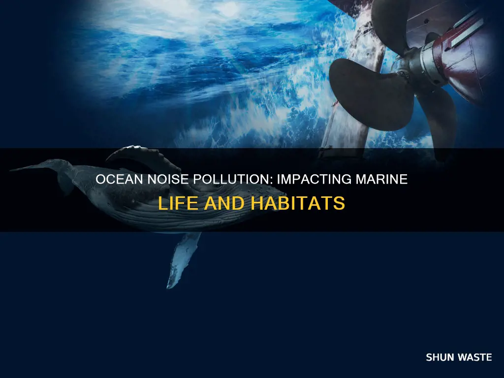 how does noise pollution affect animals in the ocean