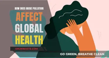 Noise Pollution: A Global Health Crisis and Its Impact