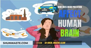 Noise Pollution: Harming Human Brain Function and Health